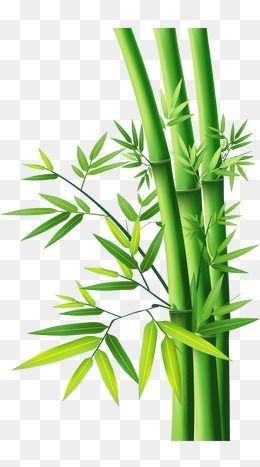 bamboo clipart file