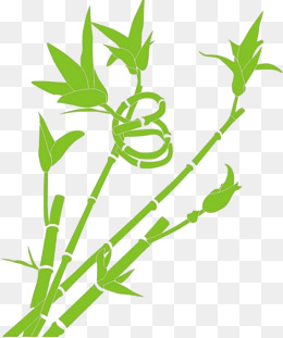 bamboo clipart lucky bamboo