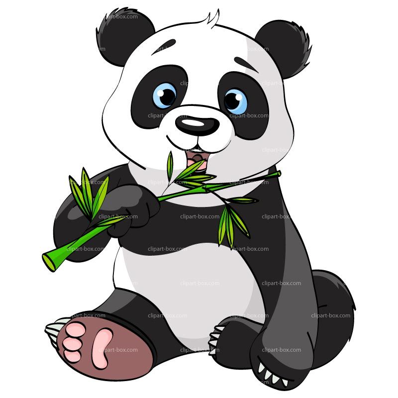Bamboo panda bear