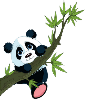 clipart panda cartoon hd