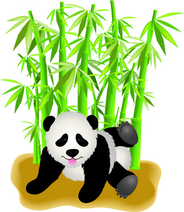 bamboo clipart panda bear