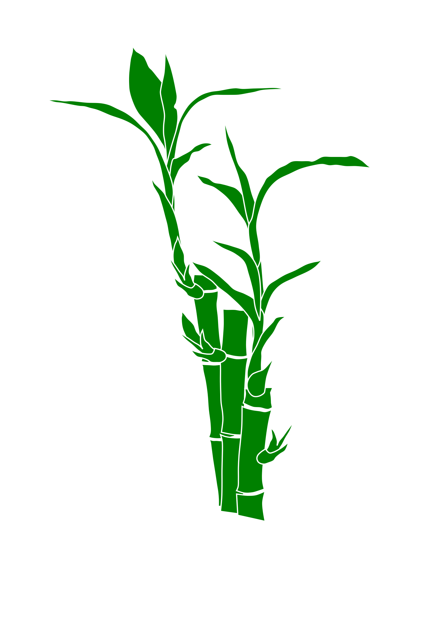 bamboo clipart pdf