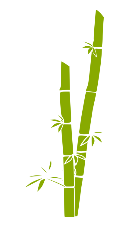 bamboo clipart pdf