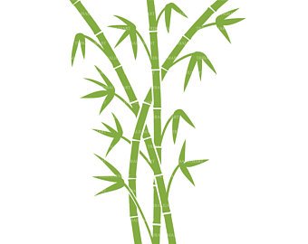 Svg etsy . Bamboo clipart pdf