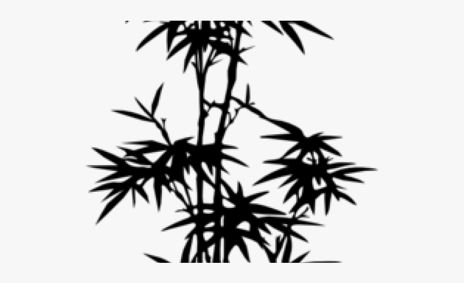 Black and white trees. Bamboo clipart scroll