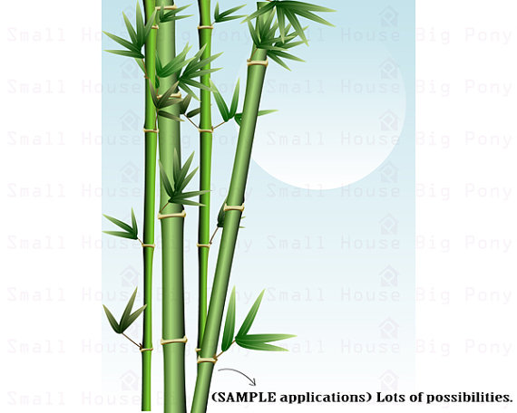 Bamboo short