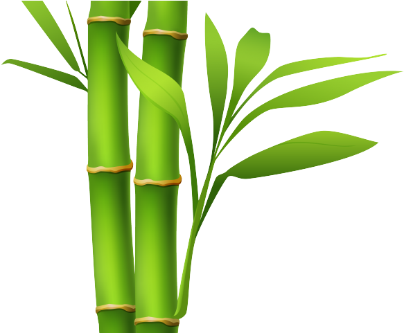 bamboo clipart single