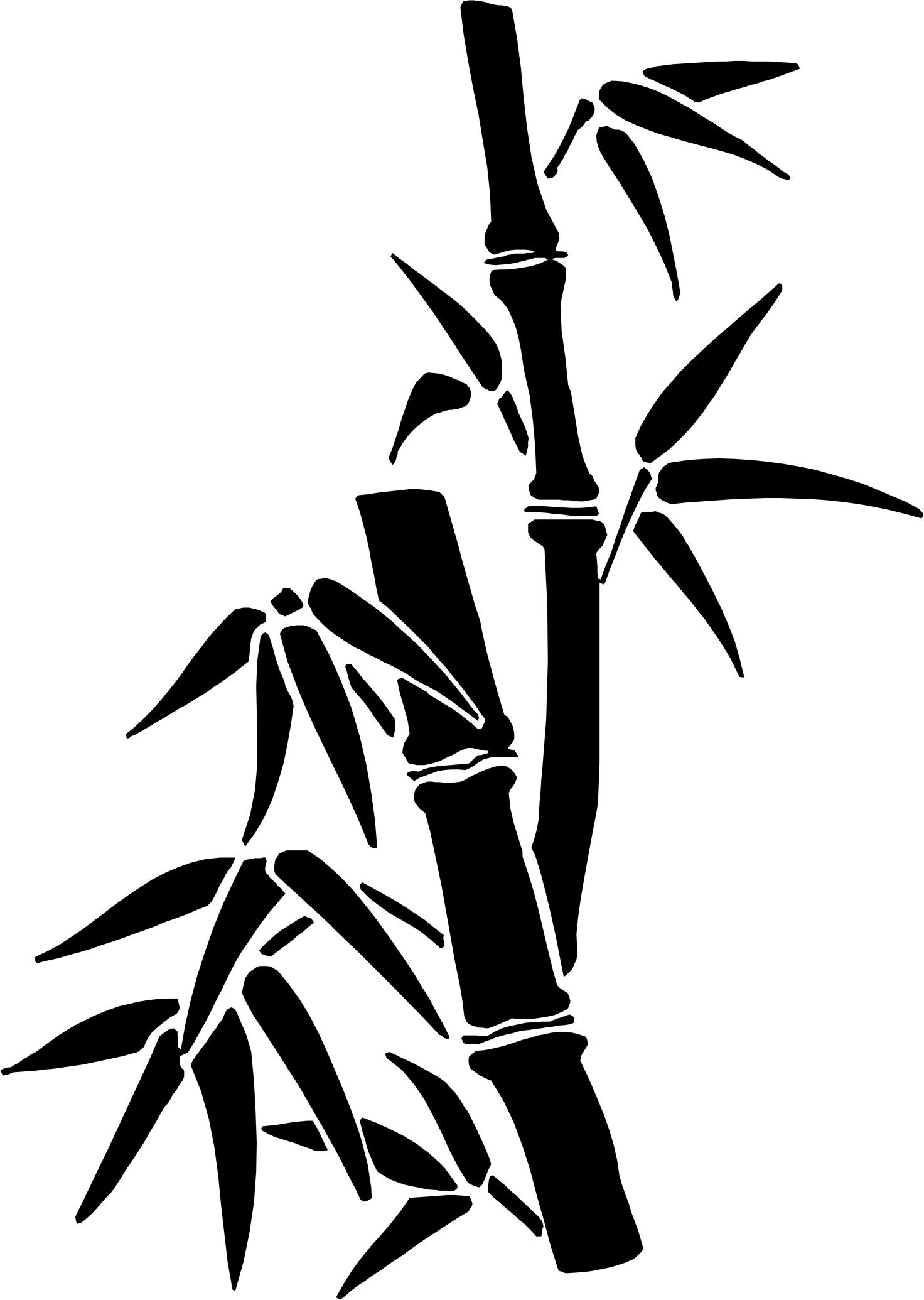 bamboo clipart sketches