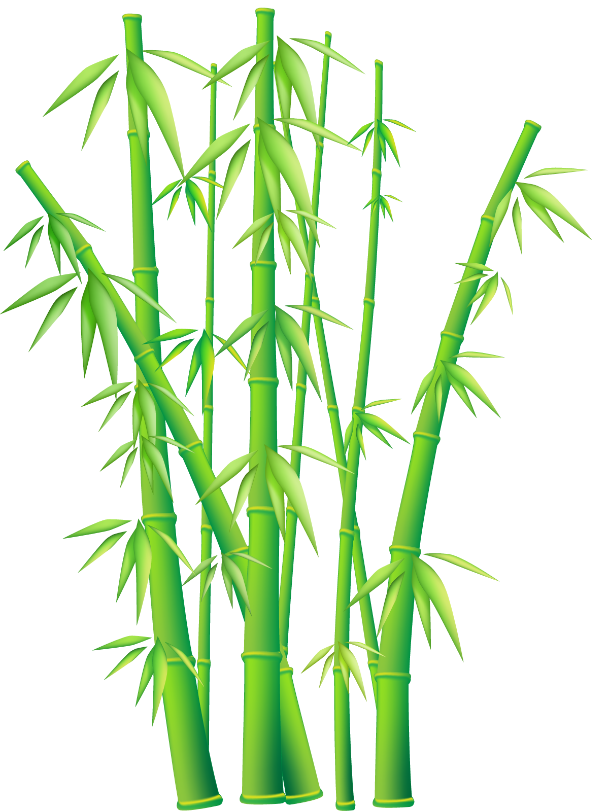 one clipart bamboo