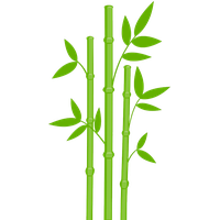 bamboo clipart transparent background