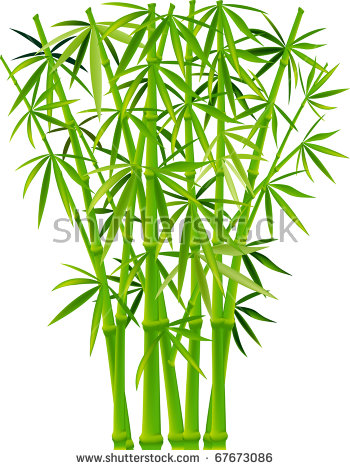 bamboo clipart vector