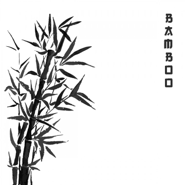 bamboo clipart vector