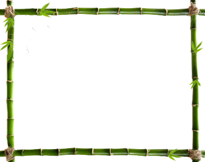  for free download. Bamboo frame png