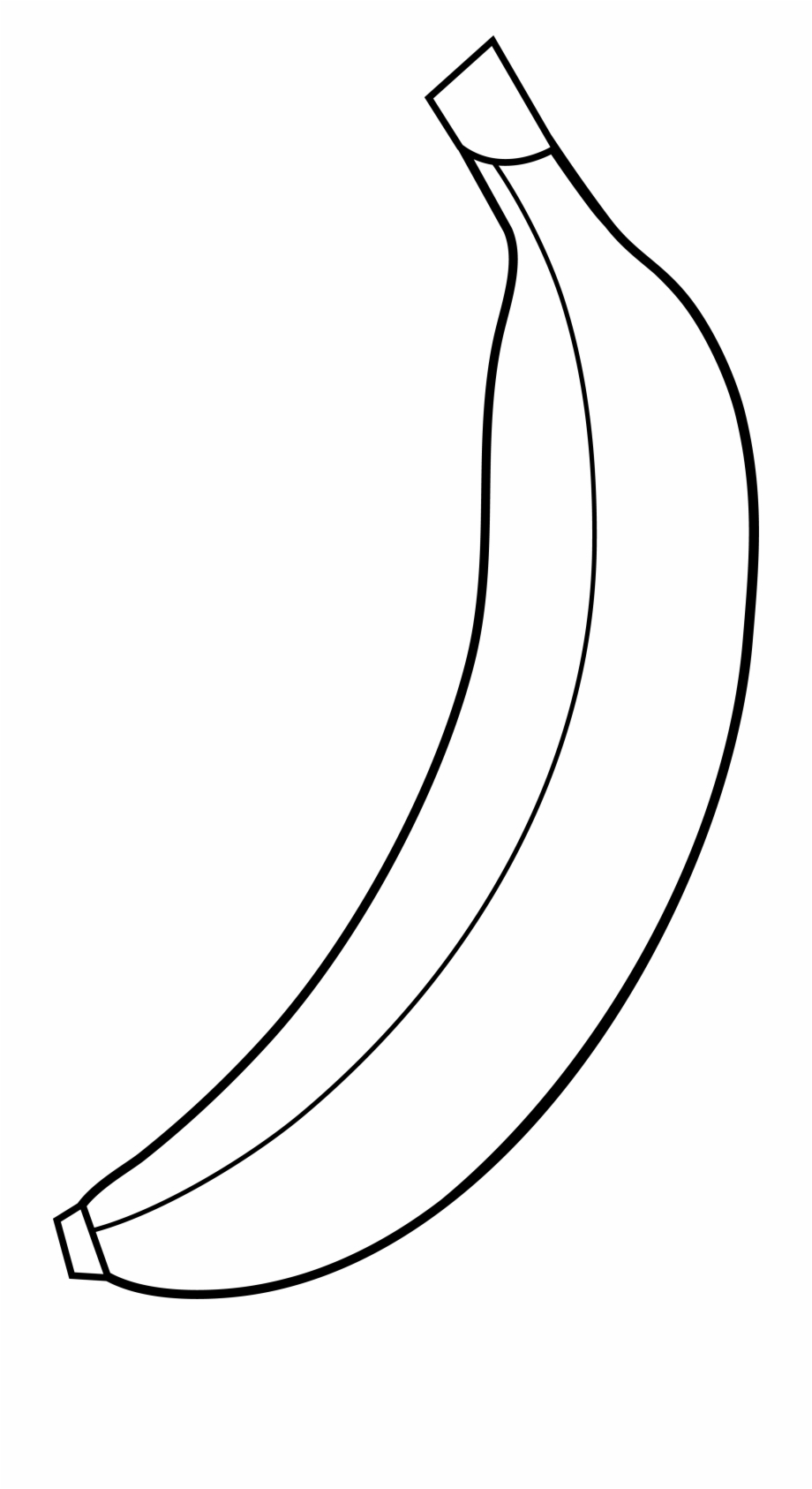 banana clipart sketch