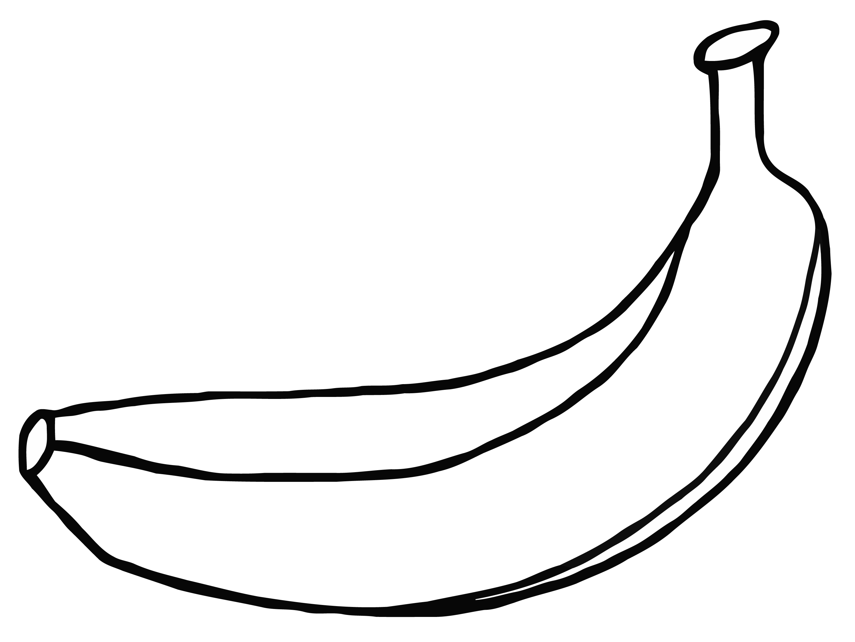 Banana image drawing template. Bananas clipart colored
