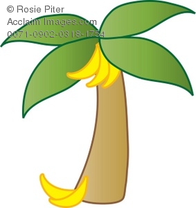 Banana clipart tree. Illustration of a 