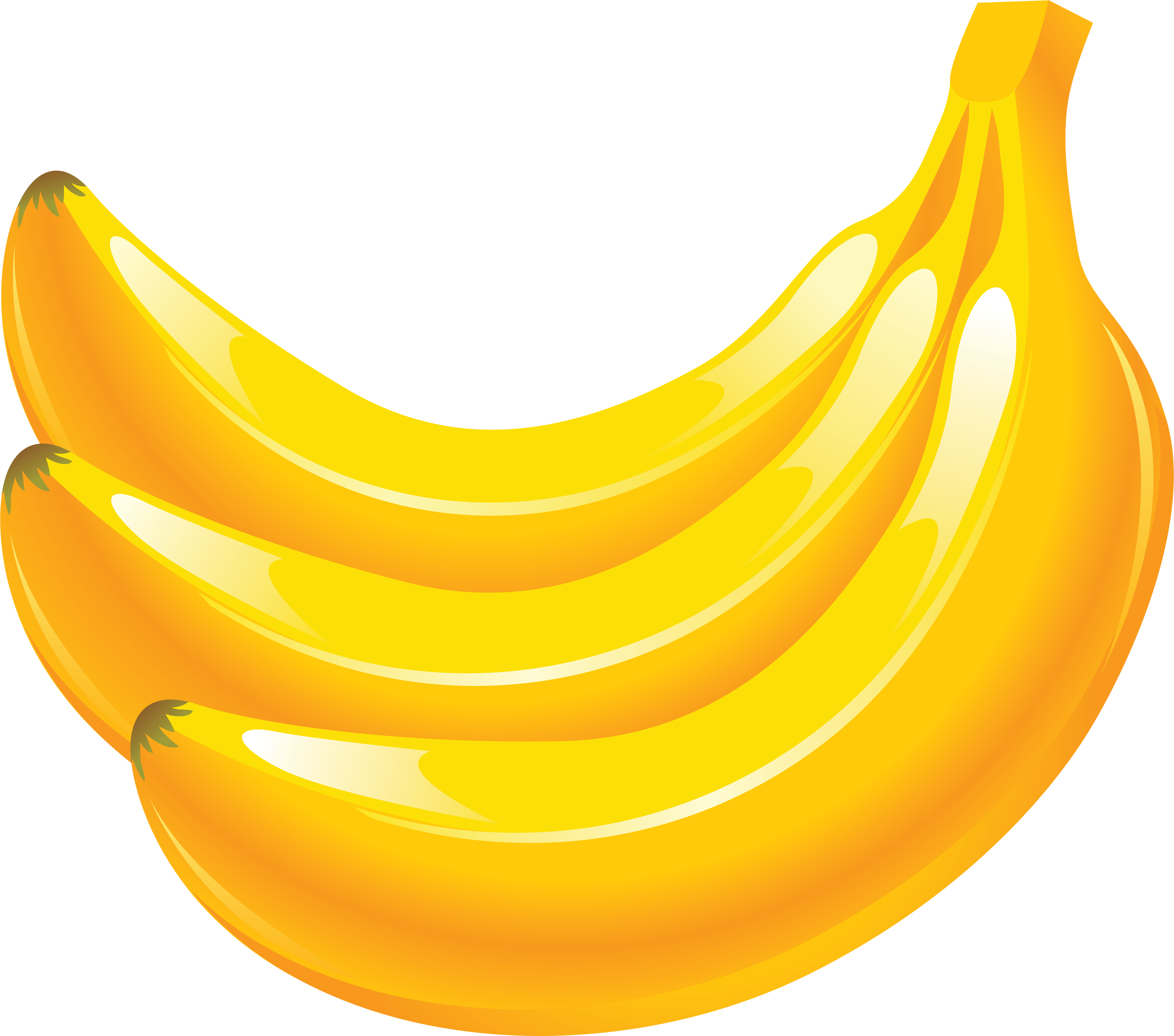 Png image free picture. Bananas clipart 1 banana