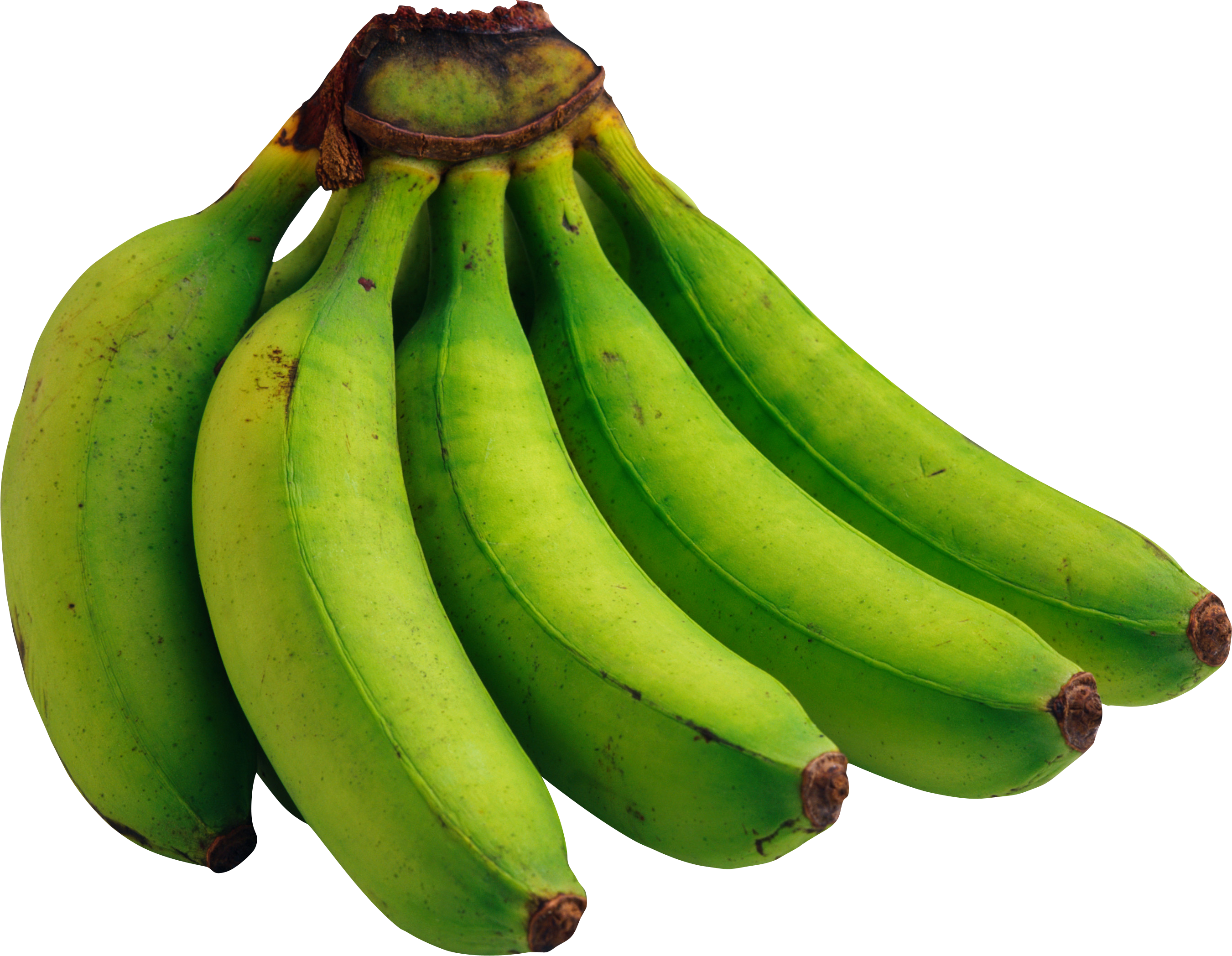 Clipart banana local fruit. Green bananas png image