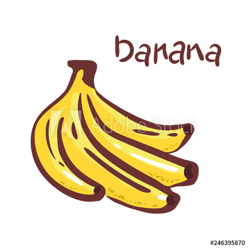 Bananas clipart vector. Bunch illustration isolated on