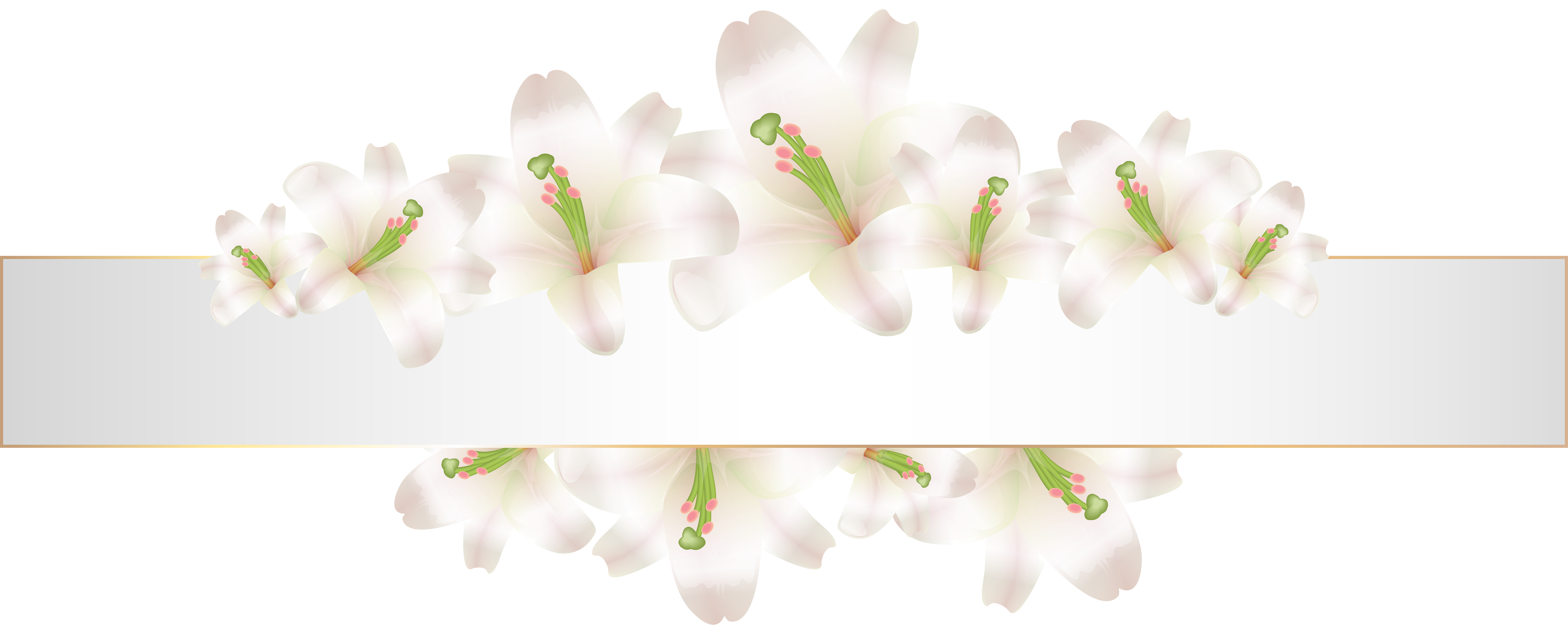 Soft deco with flowers. Flower banner png