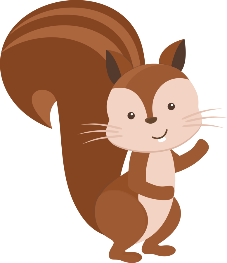 racoon clipart woodland