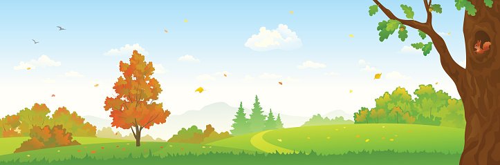 clipart forest banner