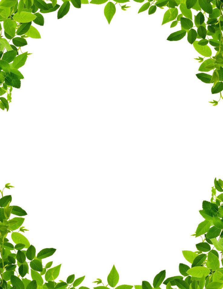 forest clipart border