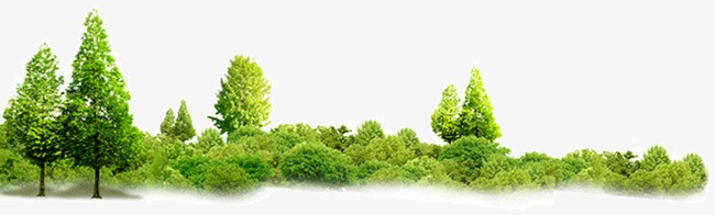 clipart forest banner