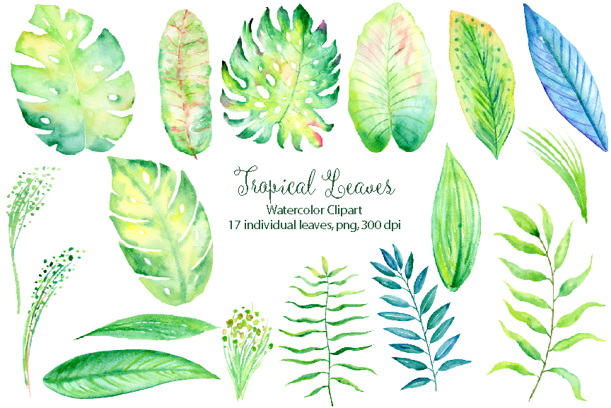 Watercolor collection by cornercroft. Banner clipart tropical