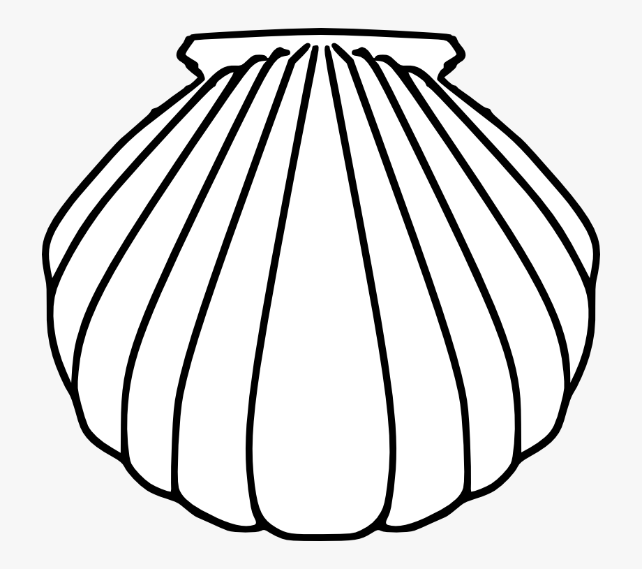 Baptism clipart seashell. Simple shell drawing at