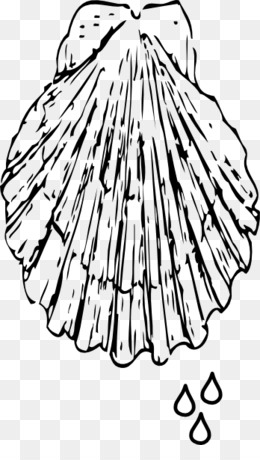 Download angelito bautizo vector. Baptism clipart seashell