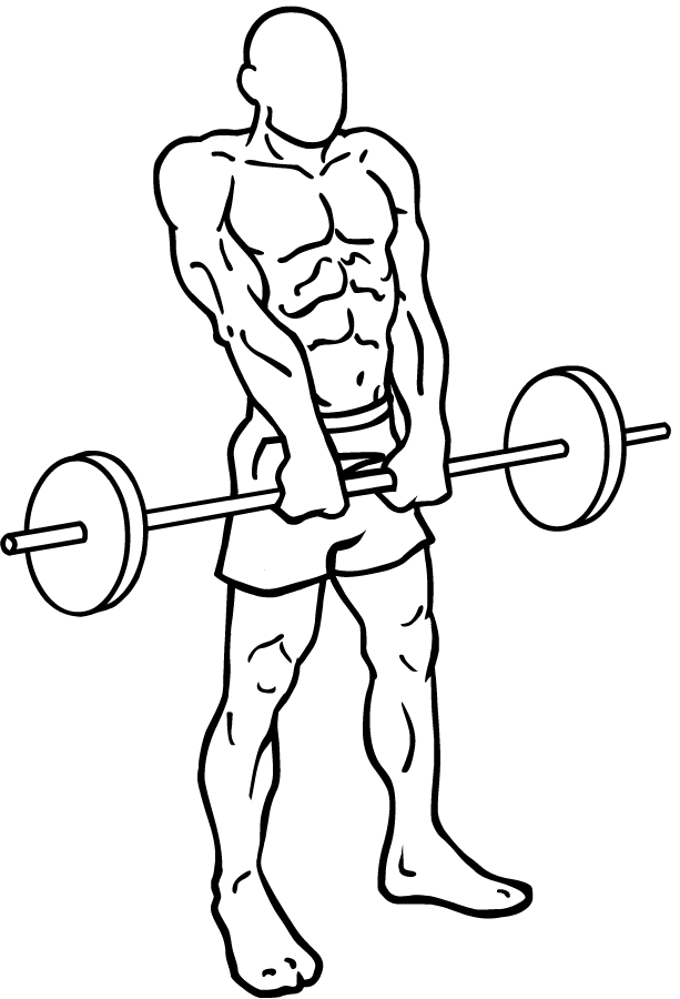 barbell clipart drawing