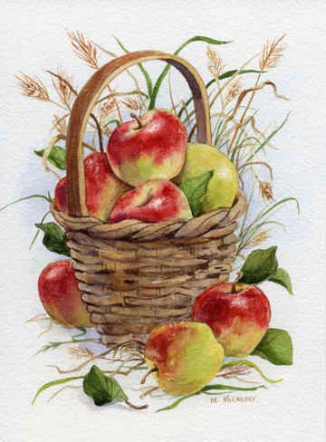  best images on. Basket clipart bascket