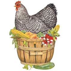 basket clipart chicken