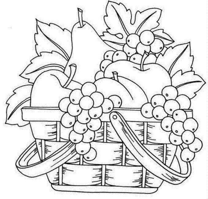 Fruit art clip drawings. Basket clipart line drawing