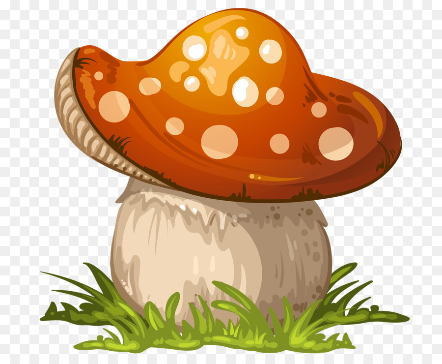 basket clipart mushroom