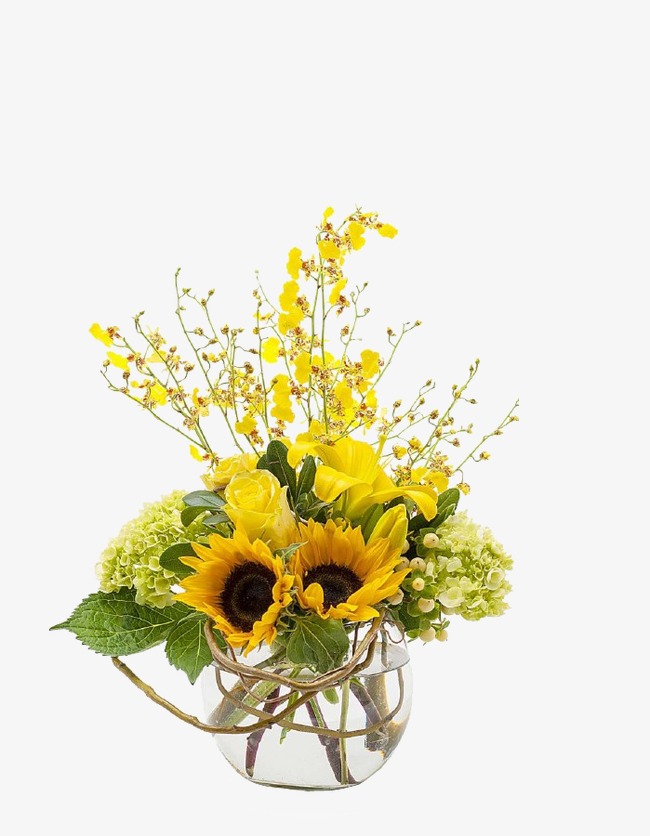 Winter jasmine flower vase. Basket clipart sunflower