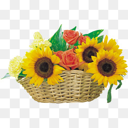 Creative png images vectors. Basket clipart sunflower