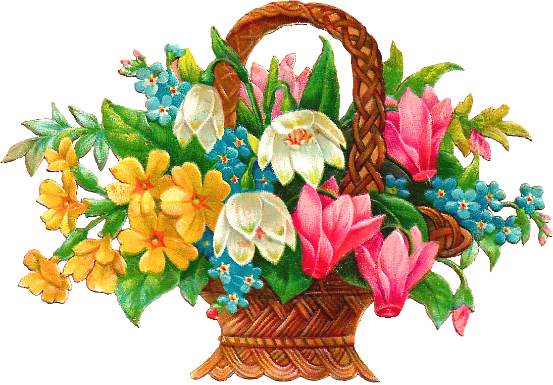 Hd flower free . Basket clipart sunflower