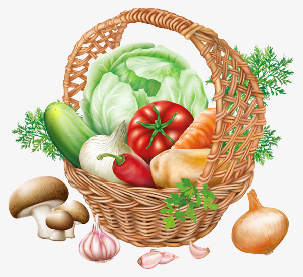 basket clipart vegetable