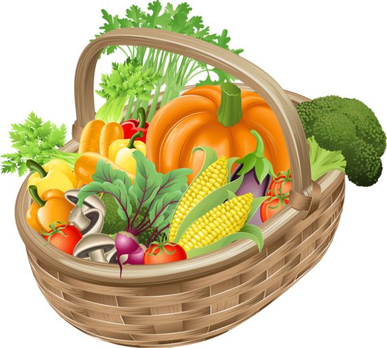 harvest clipart basket vegetable