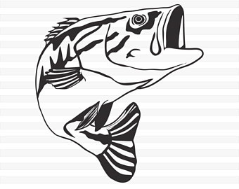 Free Free 68 Simple Bass Fish Svg SVG PNG EPS DXF File