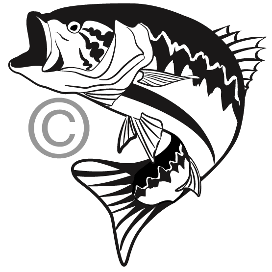 Bass clipart black and white. Largemouth fish clip art