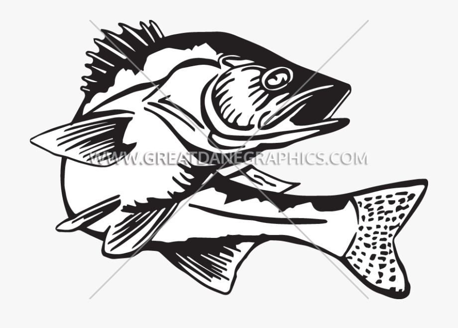 Banner royalty free fishing. Bass clipart black and white