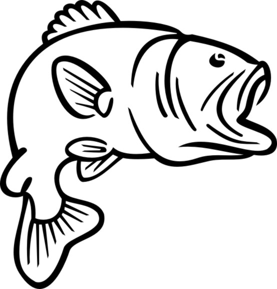 Bass clipart black and white. Free fish cliparts download