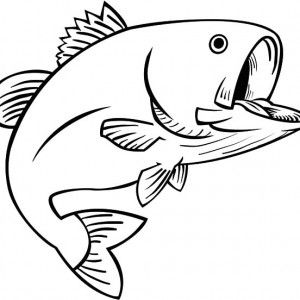 bass clipart coloring page