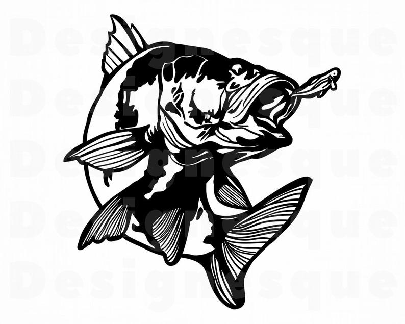Download Bass clipart file, Bass file Transparent FREE for download ...