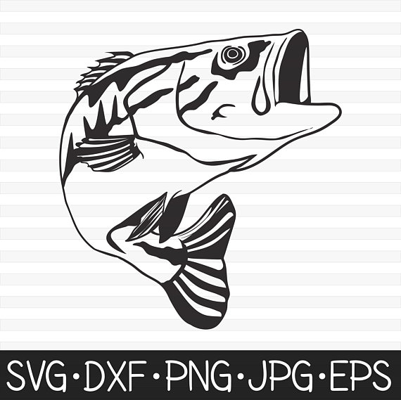 Largemouth Bass Bass Svg Free / Fishing SVG | Bass Fish SVG | Sea Bass