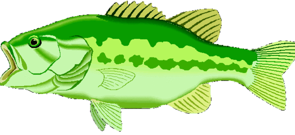 bass clipart fishing derby