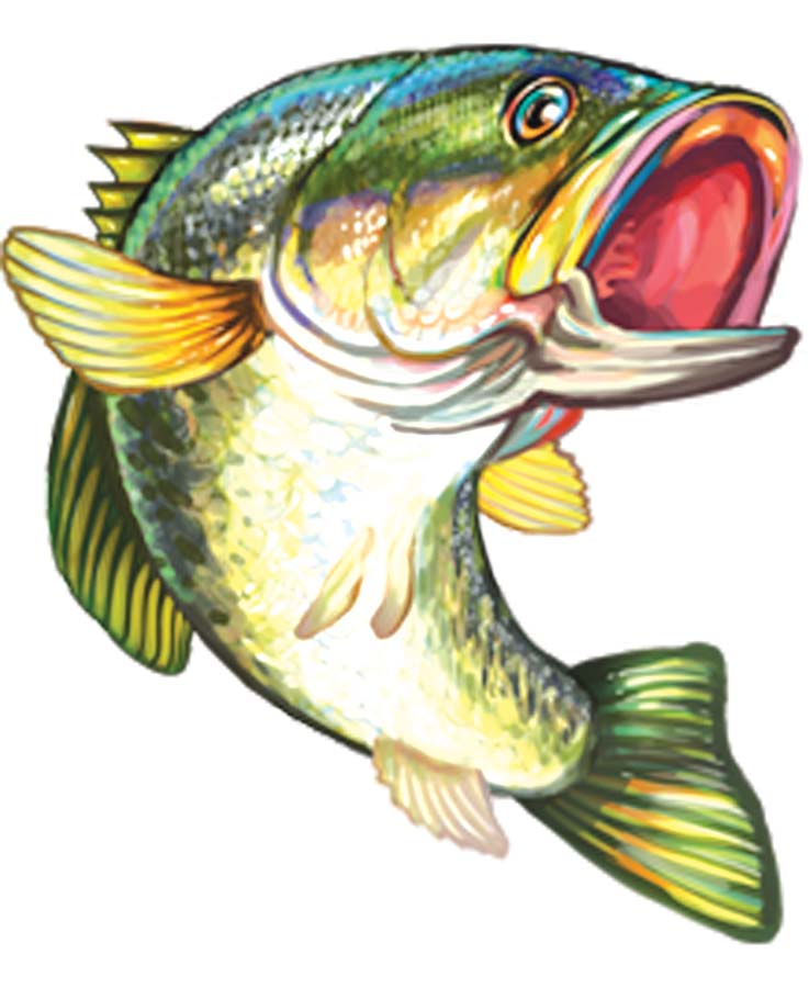 bass clipart fishing tournament